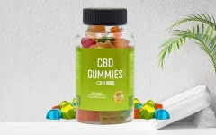 37776110_web1_M1-KIR20241029-Bliss-Roots-CBD-Gummies-Teaser.webp